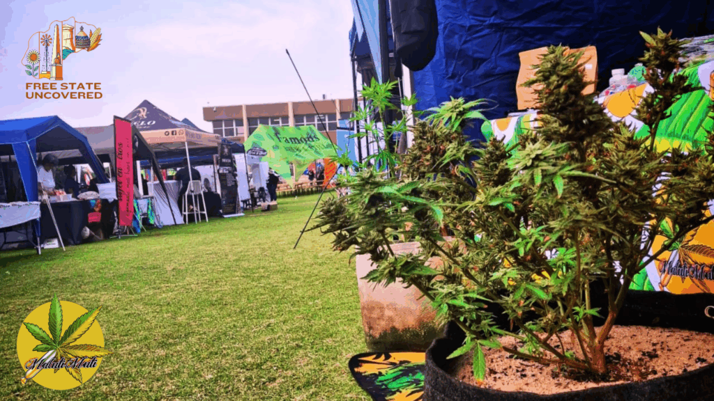 From accommodation to community – Maluti Muti invites you to experience the Free State like never before.